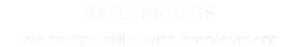 skillbridgeltd.com